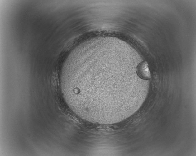 X0000071800918200607150142