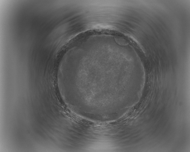 X0000071800919200607150142