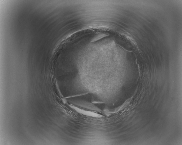 X0000071800920200607150143