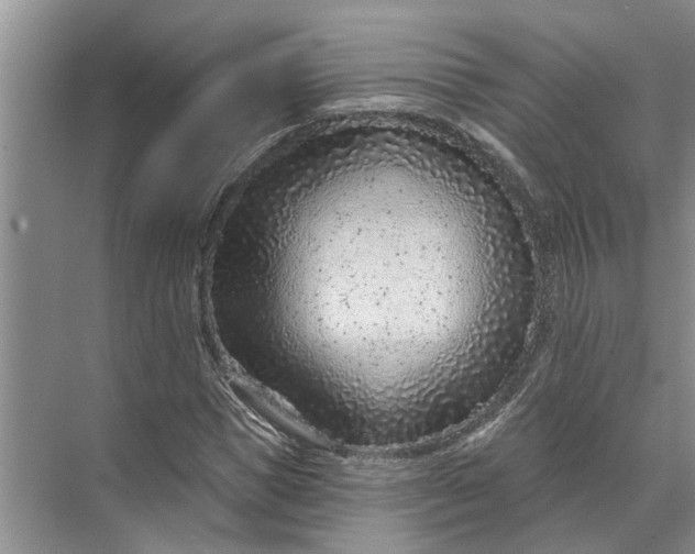 X0000071800921200607150143