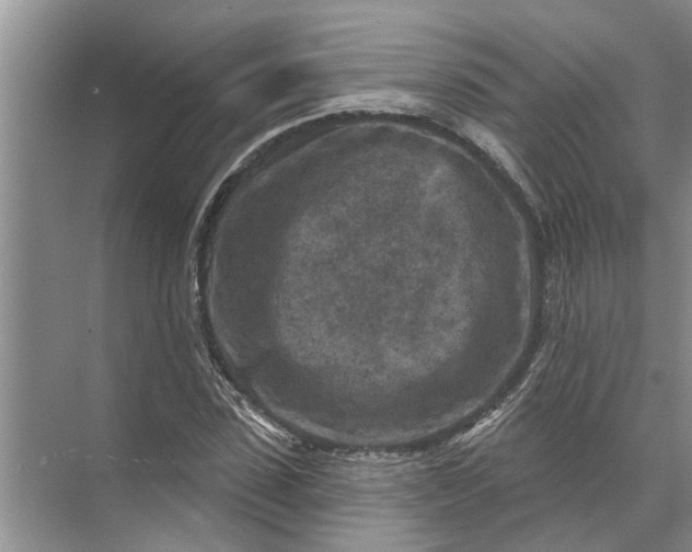 X0000071800923200607150143