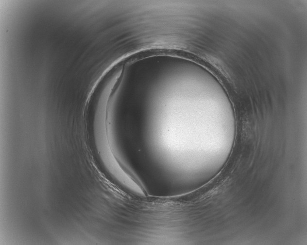 X0000071800926200607150143