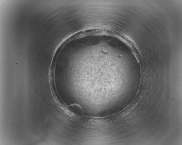 X0000071800928200607150143