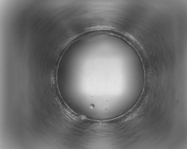 X0000071800929200607150143