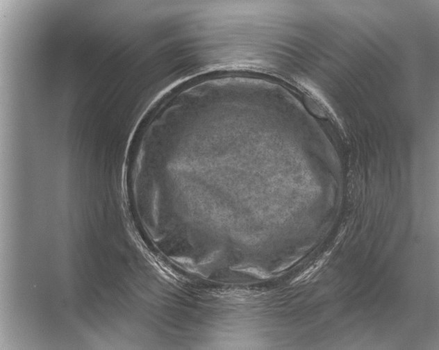 X0000071800932200607150143