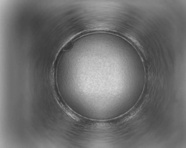 X0000071800933200607150143