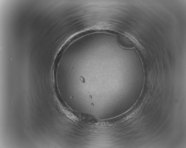 X0000071800934200607150143