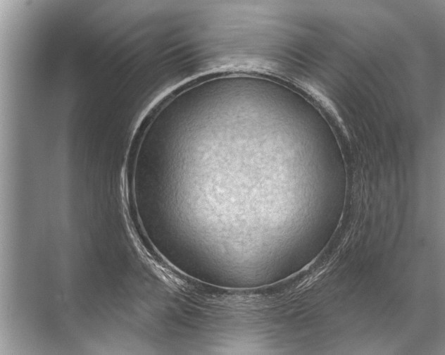 X0000071800936200607150143