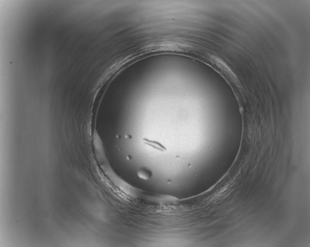 X0000071800938200607150143