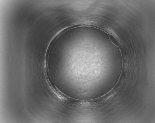 X0000071800940200607150143