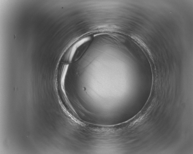 X0000071800941200607150143