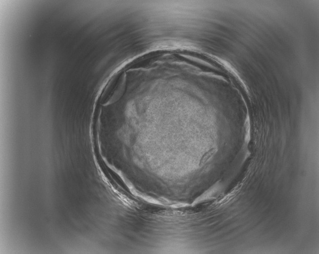 X0000071800943200607150143