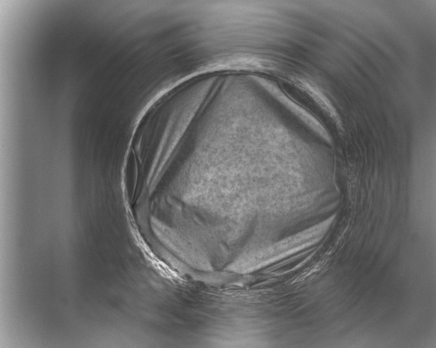 X0000071800944200607150143