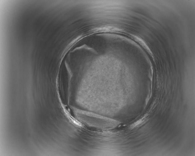 X0000071800946200607150143