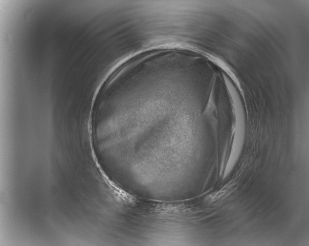 X0000071800951200607150143