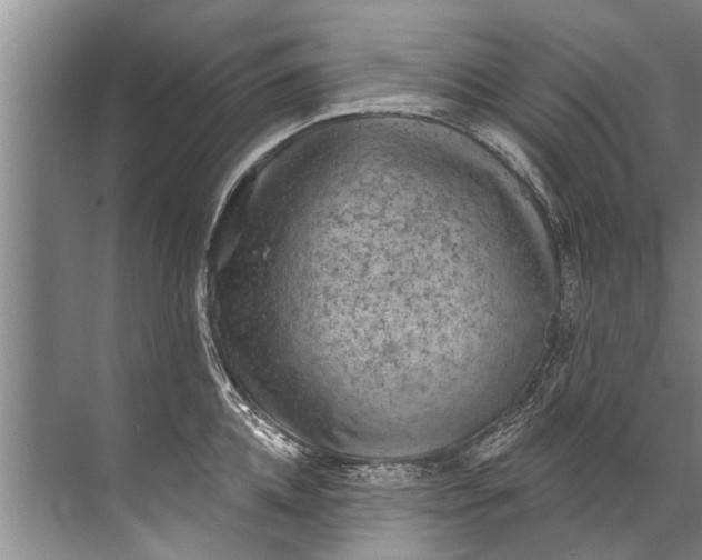 X0000071800952200607150143