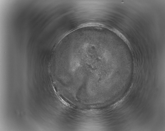 X0000071800953200607150143