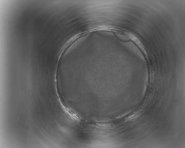 X0000071800954200607150143