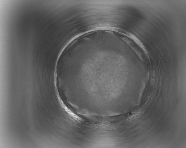 X0000071800955200607150143