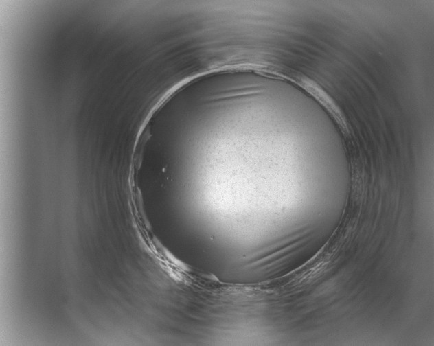 X0000071800956200607150143