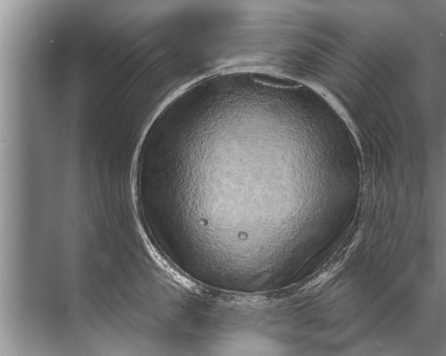 X0000071800957200607150143