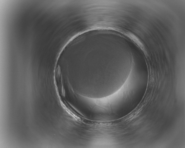 X0000071800958200607150143