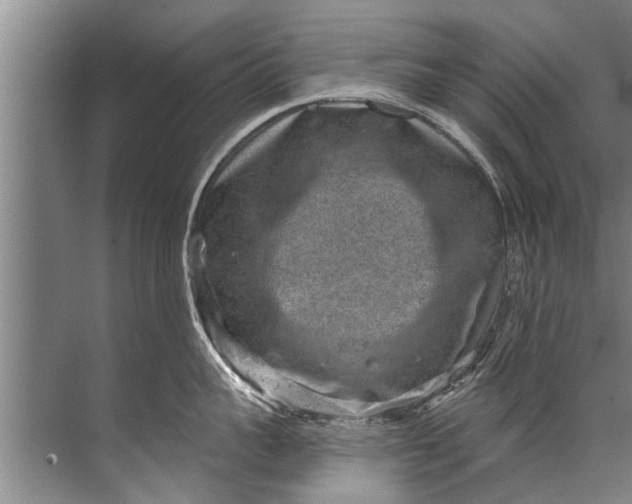 X0000071800959200607150143