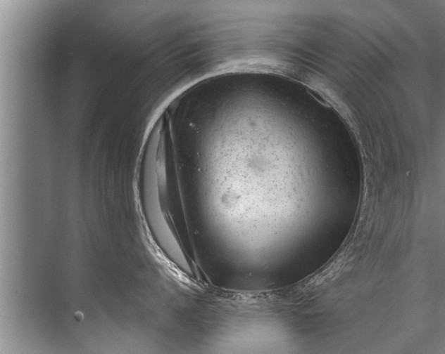 X0000071800960200607150143