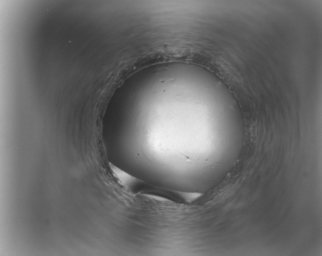 X0000071800961200607150142