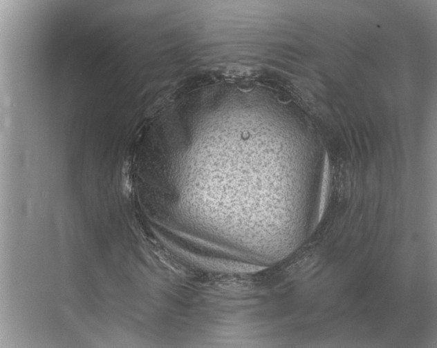 X0000071800962200607150142