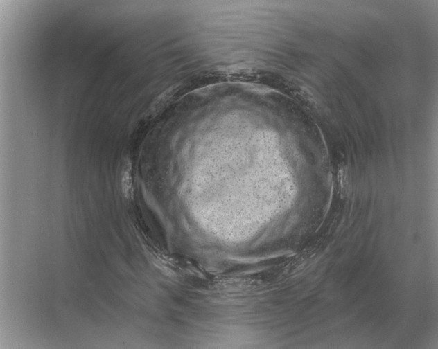 X0000071800963200607150142