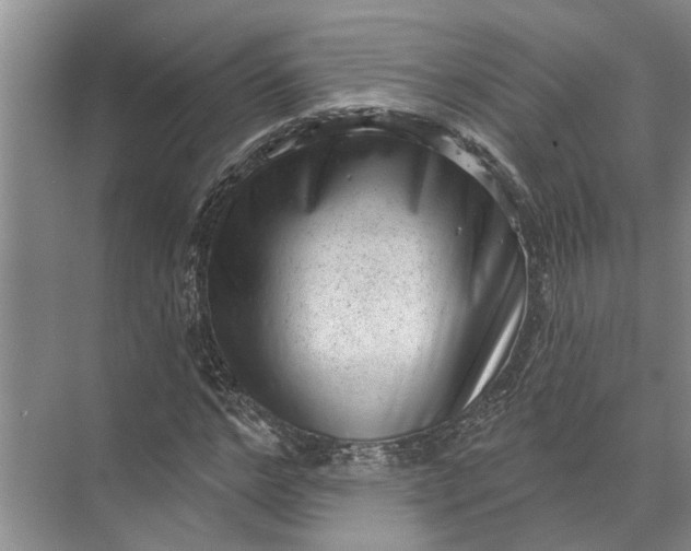 X0000071800968200607150142