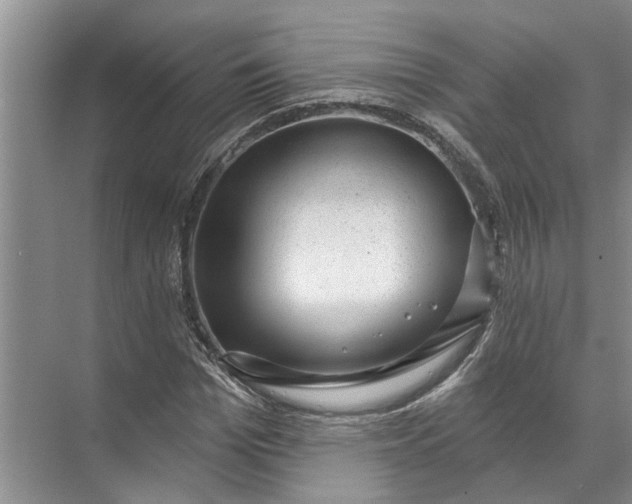 X0000071800969200607150142