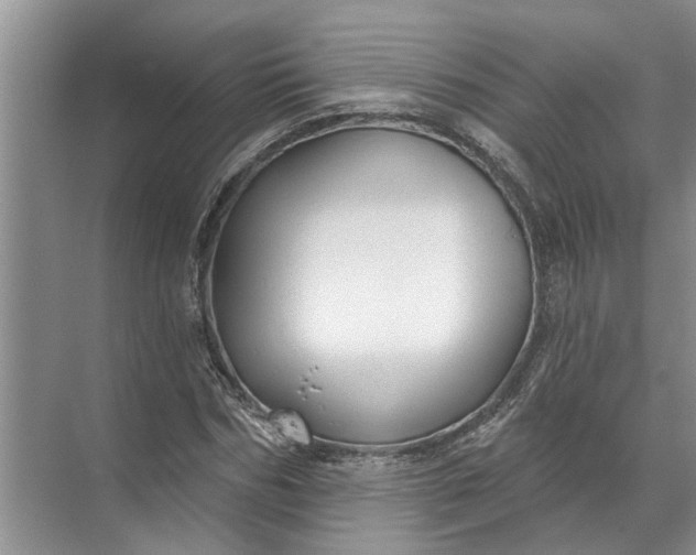 X0000071800970200607150142