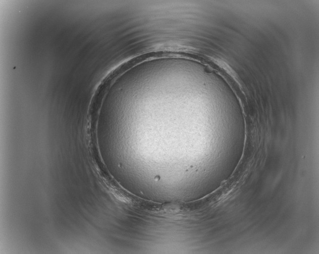 X0000071800971200607150142