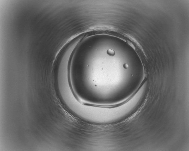 X0000071800973200607150142