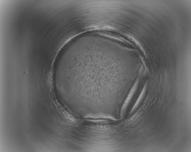 X0000071800975200607150142