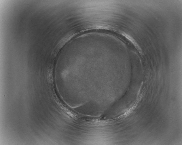 X0000071800977200607150142