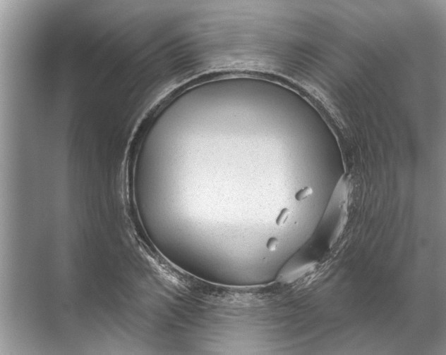 X0000071800982200607150142