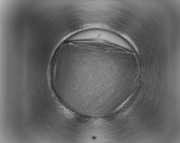 X0000071800983200607150142