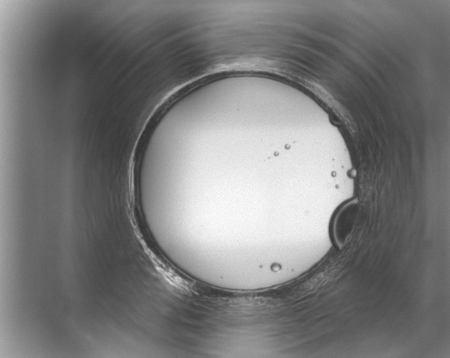 X0000071800988200607150142