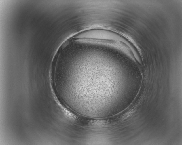 X0000071800991200607150142