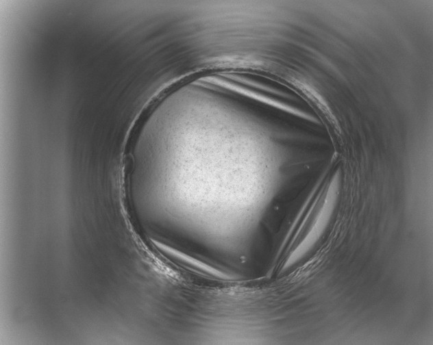 X0000071800992200607150142