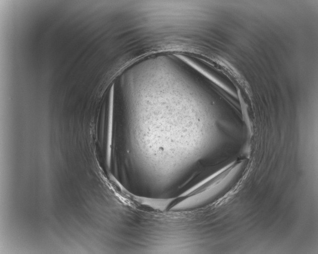 X0000071800993200607150142