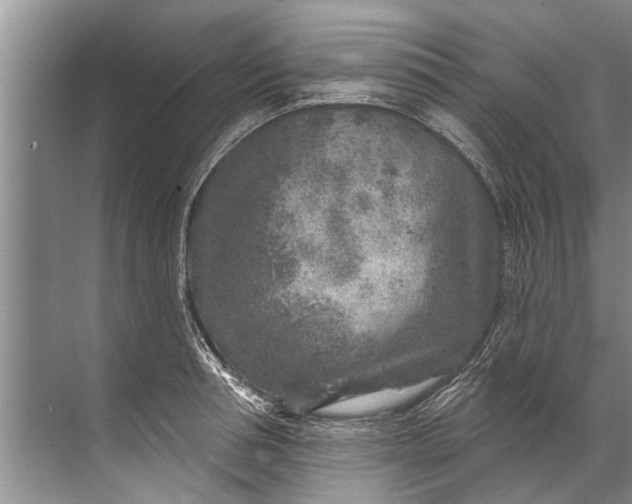 X0000071800994200607150142