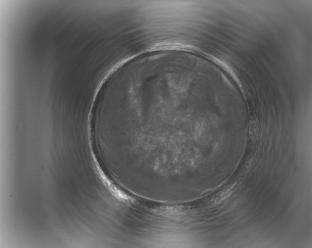 X0000071800995200607150142