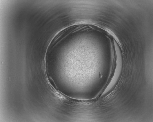 X0000071800996200607150142