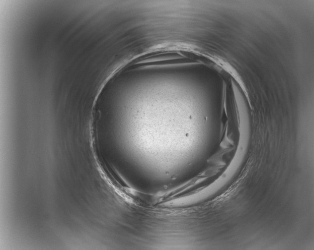 X0000071800997200607150142