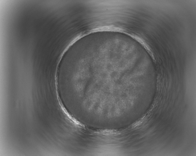 X0000071800998200607150142