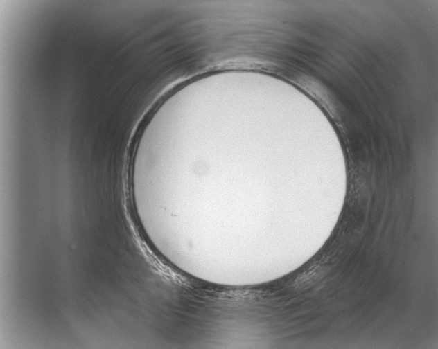 X0000071801000200607150142